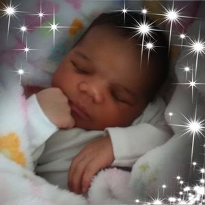 Meet your Posher, Stevee